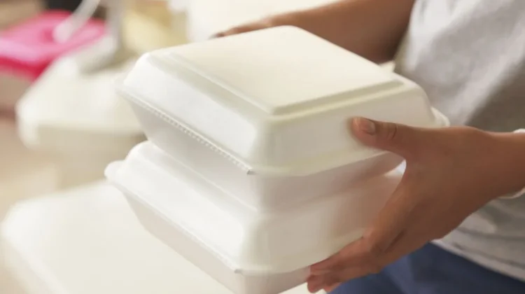 Styrofoam Sulit Terurai dan Berisiko Kesehatan, Akademisi Ingatkan Bahayanya