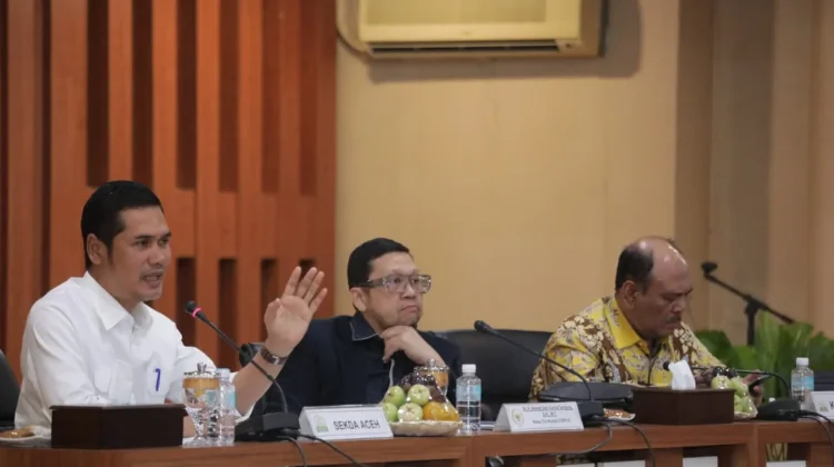 Pemerintah Aceh Dorong Penguatan Otsus dalam Revisi UUPA