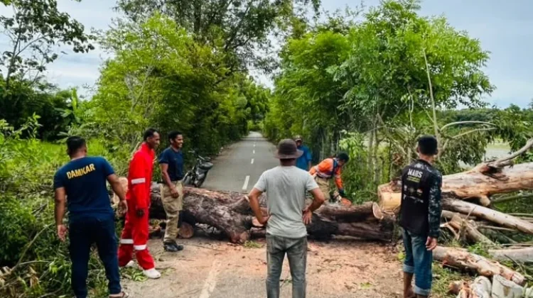 BPBD Aceh Besar Imbau Warga Waspadai Cuaca Ekstrem