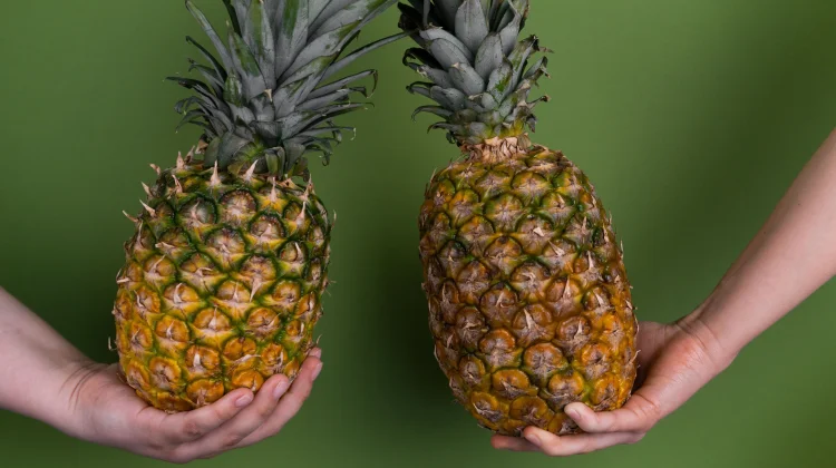Manfaat Buah Nanas untuk Kesehatan