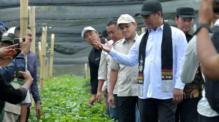 Mentan Apresiasi Kinerja Pemerintah Aceh Dukung Pengembangan Pertanian