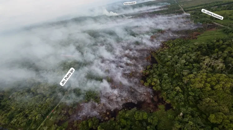 Karhutla Hanguskan 12,5 Hektare Lahan Sawit di Aceh Barat, Api Sebagian Belum Padam