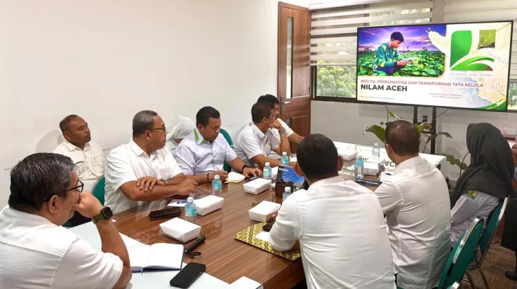 Pemerintah Aceh Percepat Hilirisasi Nilam
