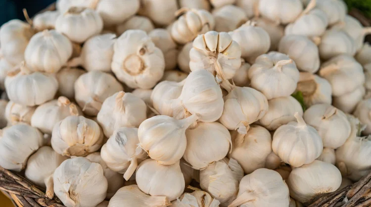 Bukan Sekadar Bumbu Dapur, Ini Khasiat Mengonsumsi Bawang Putih