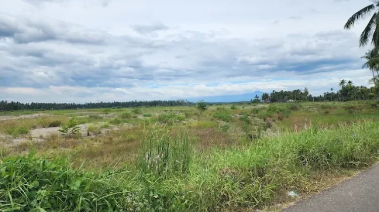 Ratusan Hektare Sawah di Kutablang Masih Tertimbun Material Banjir
