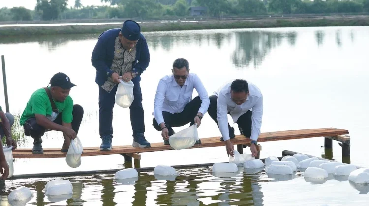 Tambak dan Kebun Kopi Dipulihkan, Pemulihan Ekonomi Aceh Terus Diakselerasi