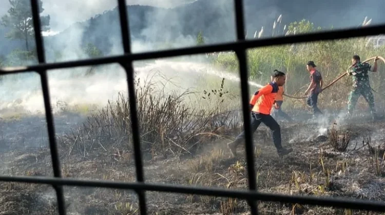 Kebakaran Lahan Seluas Satu Hektar di Bener Meriah Berhasil Dipadamkan