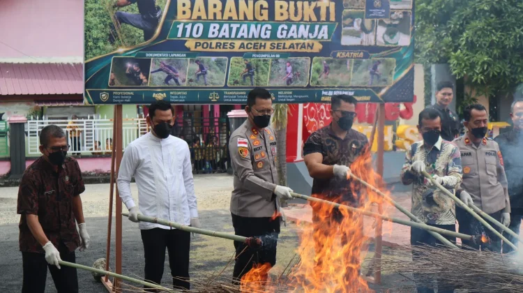 Musnahkan Barang Bukti Ganja, Kapolres Aceh Selatan Komitmen Berantas Narkoba