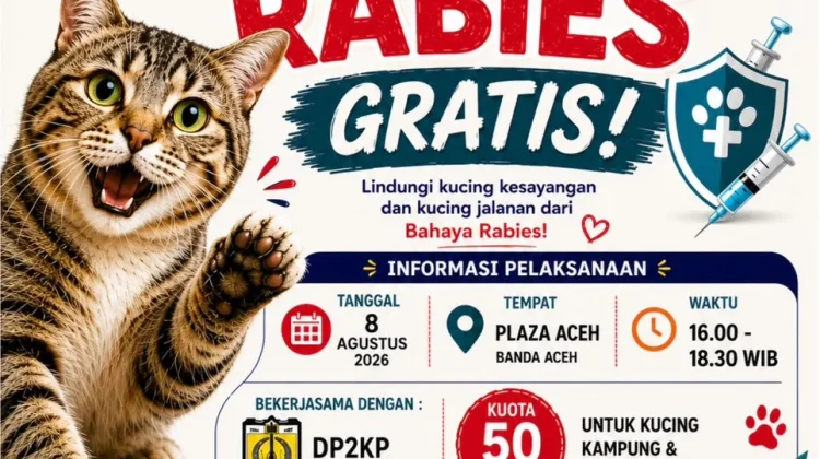 Vaksin Rabies Gratis Disediakan untuk 50 Ekor Kucing di Banda Aceh