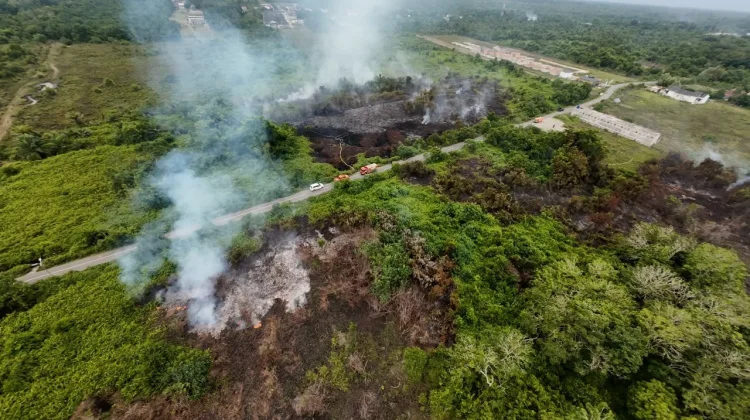 Karhutla Aceh Barat Meluas hingga 20 Hektar, Petugas Masih Berjibaku Padamkan Api
