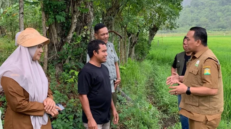 Pemkab Aceh Besar Salurkan Bantuan Air untuk Sawah Terdampak Kekeringan