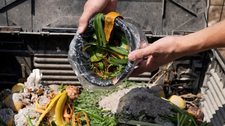 Sampah Makanan Diam-Diam Jadi Ancaman Serius di Banda Aceh