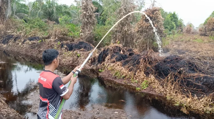 Karhutla di Aceh Barat Mereda usai Diguyur Hujan