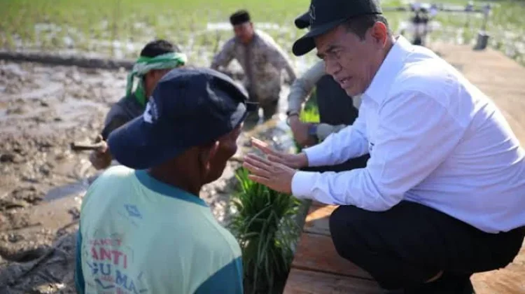 Pemerintah Aceh Jelaskan Posisi Bantuan Kementan untuk Pemulihan Sawah dan Kebun