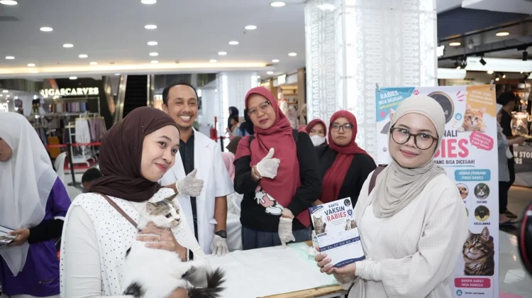 Memperingati International Cat Day, Cat Lovers Gelar Tribute Kucing Kampung