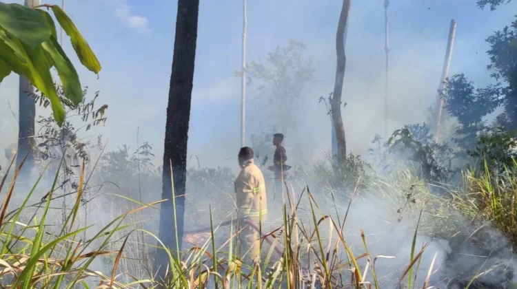 9 Kecamatan di Aceh Besar Dilanda Karhutla, Luas Lahan Terbakar Capai 16,87 Hektar