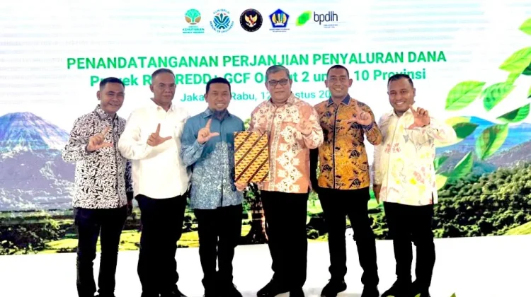 Capaian Penurunan Emisi Diakui, Gubernur Mualem Perkuat Tata Kelola Hutan Aceh