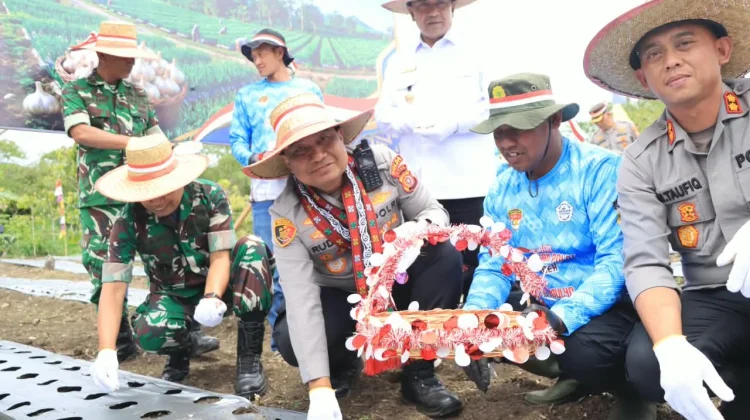 Dukung Swasembada Pangan, Kapolda Tanam Bawang Putih di Aceh Tengah