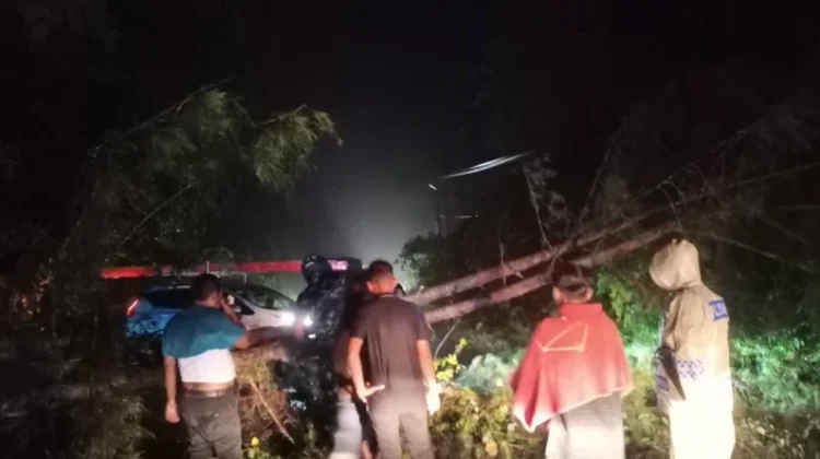 Polres Aceh Jaya Tangani Pohon Tumbang Lintas Banda Aceh – Meulaboh