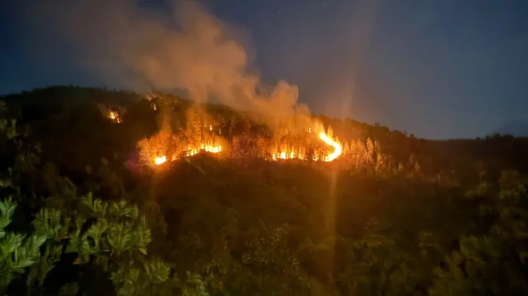Delapan Hektar Lahan di Bukit Berbate Blang Bintang Terbakar