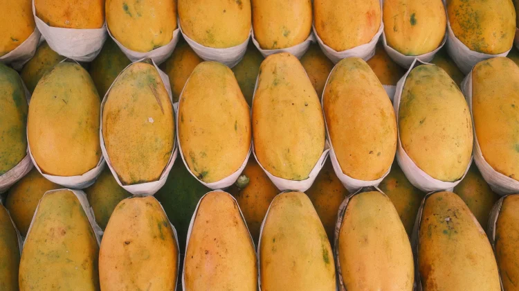 Buah Pepaya Kaya Akan Manfaat