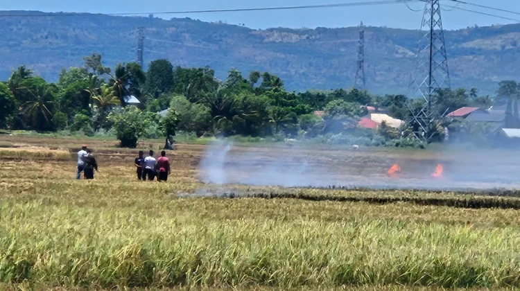 Lahan Persawahan Seluas Tujuh Hektar Terbakar di Aceh Besar