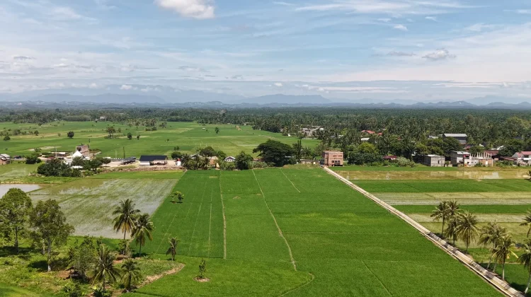 Pemkab Aceh Tamiang Targetkan Seluruh Sawah Terdampak Siap Tanam November 2026