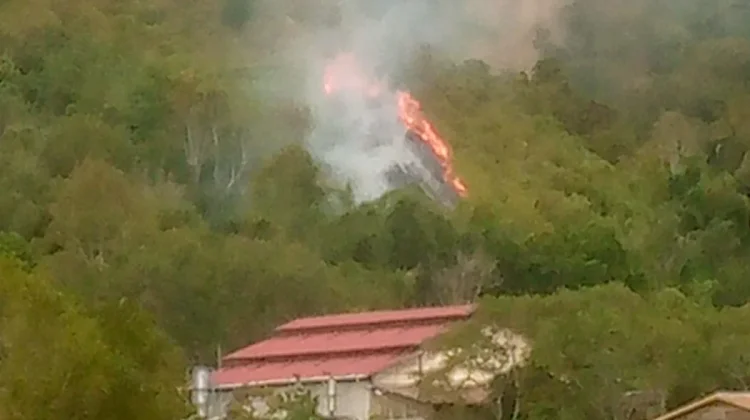 Satu Hektare Lahan Terbakar di Aceh Tengah, Penyebab Masih Diselidiki