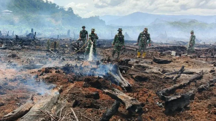 Tim Gabungan Masih Berjibaku Padamkan Kebakaran Lahan Gambut di Aceh Selatan