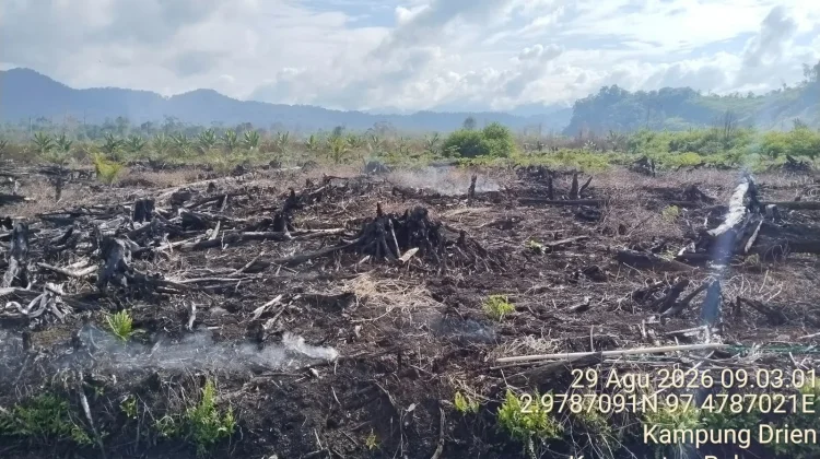 BMKG Deteksi 119 Titik Panas, Paling Banyak di Gayo Lues dan Aceh Selatan