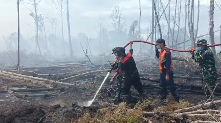 Belasan Hektar Lahan Gambut yang Terbakar di Aceh Selatan Belum Padam Total