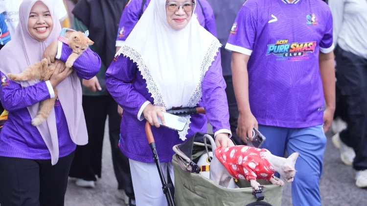 Sphynx, si Kucing Unik di tengah Jalan Sehat RRI Fest Banda Aceh