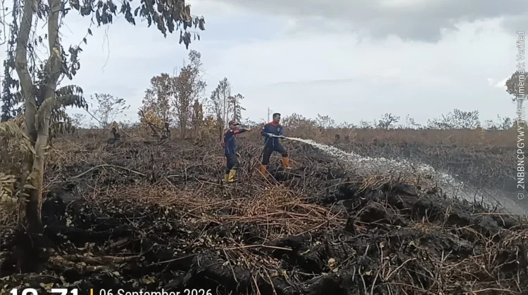 Karhutla di Aceh Barat Berhasil Dipadamkan 90 Persen, Petugas Masih Atasi Titik Api
