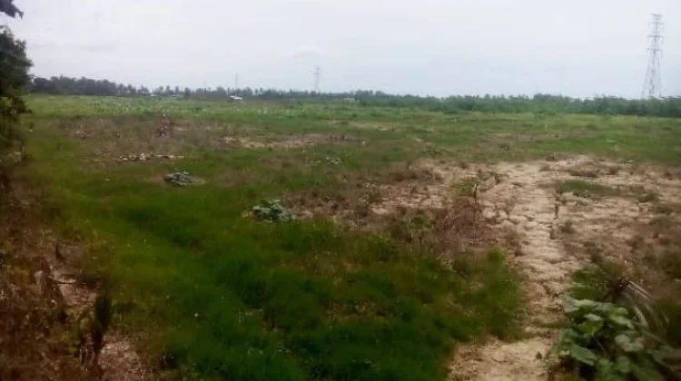 Stafsus Gubernur Terima Aduan Sawah Rusak Pascabencana di Aceh