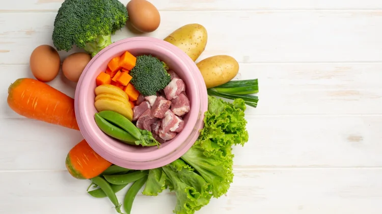 Ketahui Tiga Nutrisi Penting untuk Menjaga Kadar HB