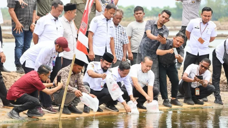 Lima Gampong di Aceh Timur Terima 4,2 Juta Benur untuk Pulihkan Tambak Pascabencana