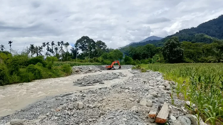 Banjir Aceh Tenggara Rusak Puluhan Hektare Lahan Pertanian dan Infrastruktur