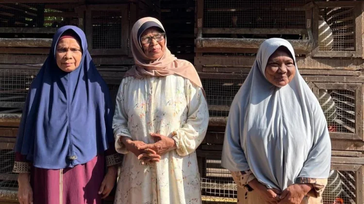 Ternak Ayam Jadi Jalan Kemandirian Ekonomi Lansia di Lamhlom Aceh Besar