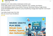 TurnBackHoax: Tautan Mudik Gratis PLN 2026 Palsu