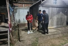 Damkar BPBD Aceh Besar Evakuasi Ular Piton dari Rumah Warga