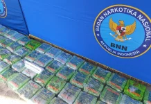 BNN Aceh Musnahkan Hampir 60 Kilogram Sabu Hasil Tangkapan