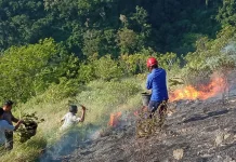 Lahan Bukit Glee Taron Aceh Besar Terbakar