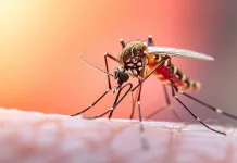 Musim Kemarau Waspada Diare dan Malaria
