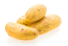 Manfaat Kentang Untuk Ibu Menyusui