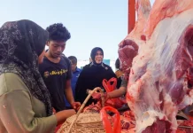 Pemko Banda Aceh kembali Gelar Pasar Murah Daging Meugang, Rp140 Ribu Perkilogram