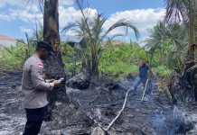 Dua Hektar Lahan di Montasik Aceh Besar Terbakar