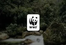 WWF Indonesia Tekankan Pentingnya Kesadaran Lingkungan di Earth Hour