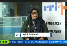 WWF: Populasi Gajah Sumatra Terancam Punah