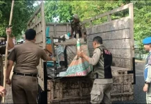 Lapak PKL Kawasan Masjid Raya Baiturrahman Disita Petugas