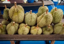 Konsumsi Durian Setara 5 Sendok Gula, Ini Imbauan Dokter Gizi